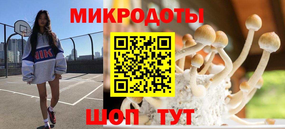 Псилоцибиновые грибы GOLDEN TEACHER Миасс